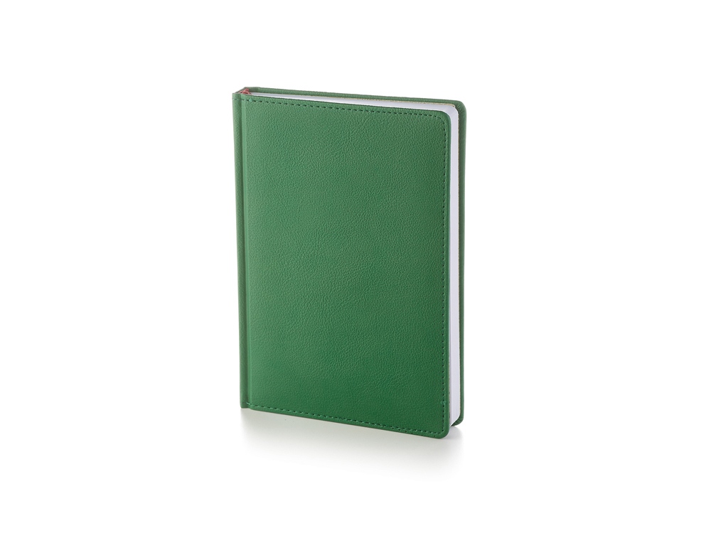 Ежедневник А5 датированный Leader на 2026 год