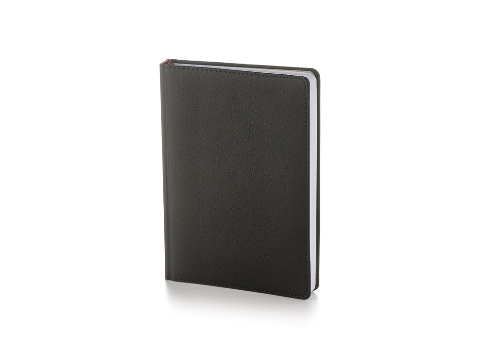 Ежедневник А5 датированный Leader на 2026 год