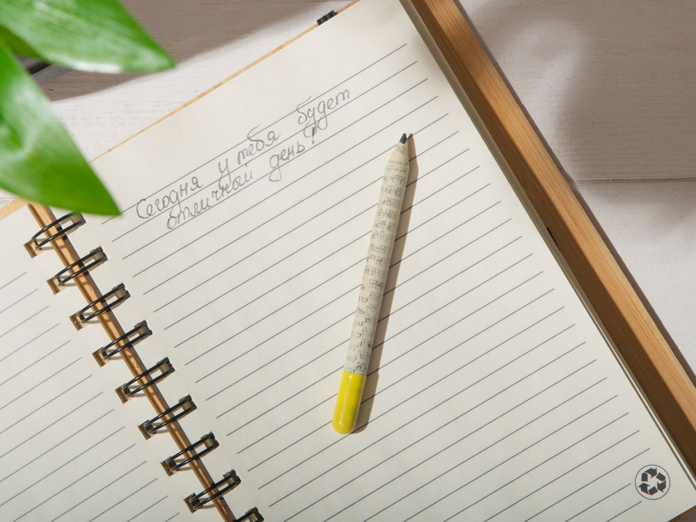 Растущий карандаш mini с семенами акации серебристой