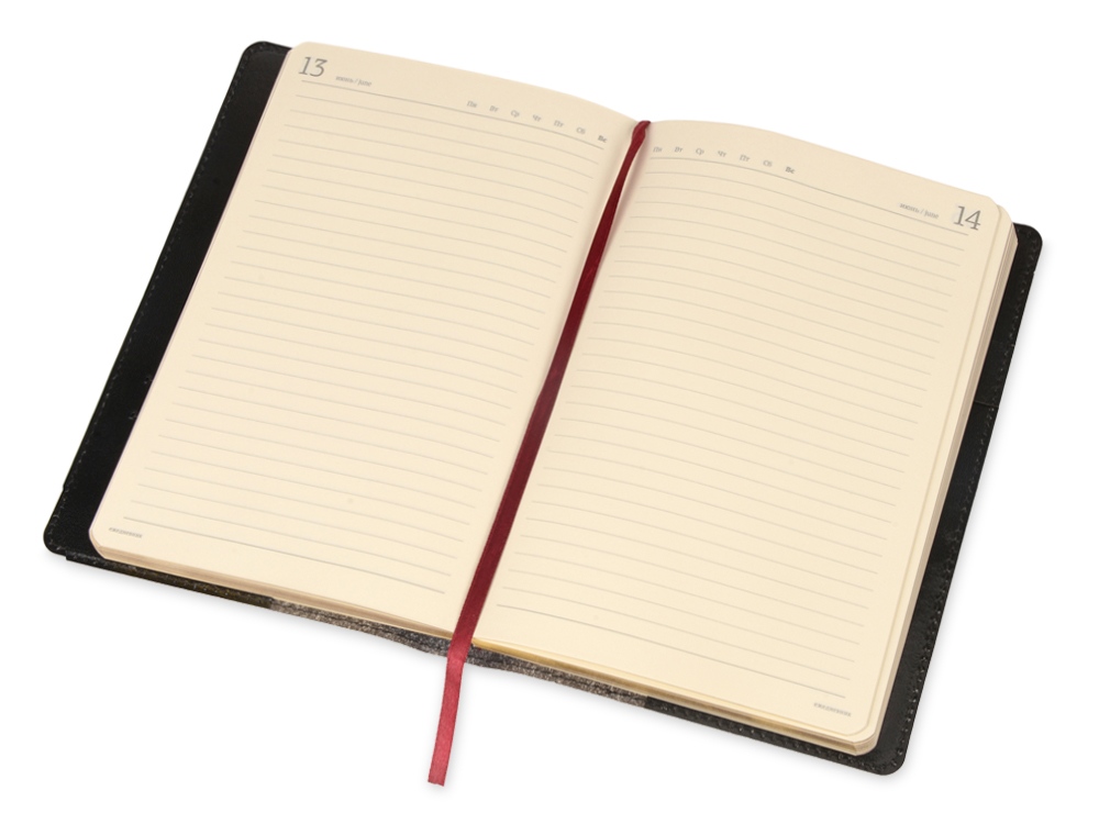 Ежедневник полудатированный портфолио А5 Profy