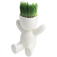 Набор для выращивания Funky Buddy