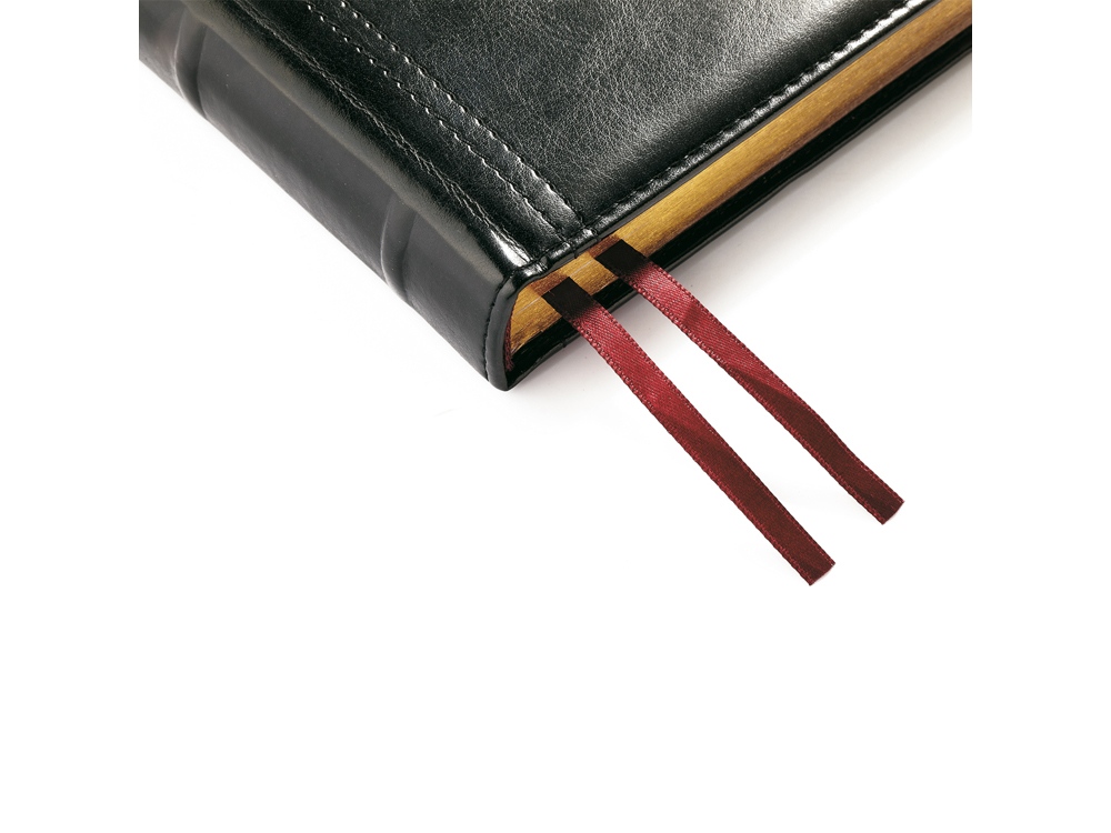 Ежедневник полудатированный А5 Boss