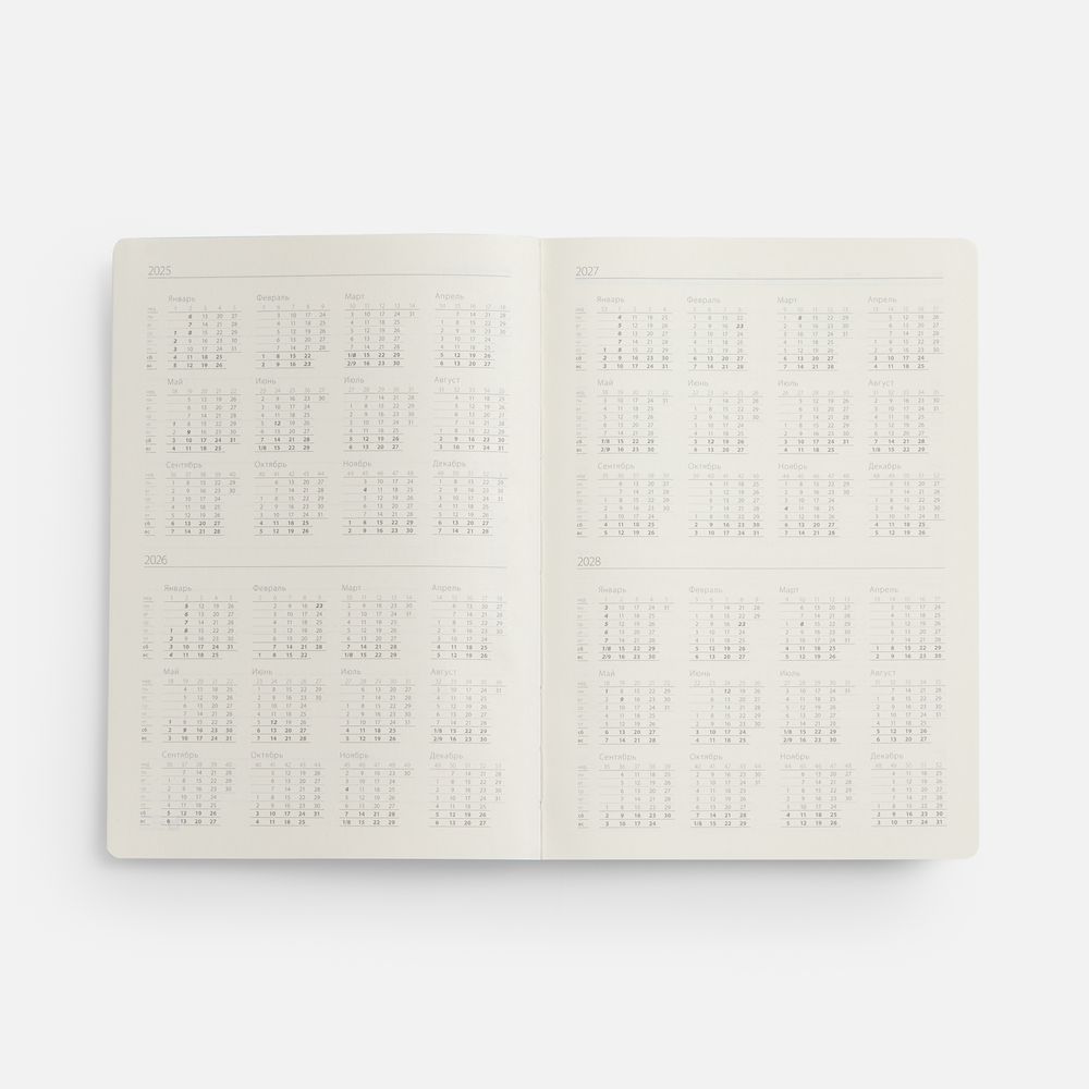 Ежедневник Flexpen Black, недатированный, черный с синим