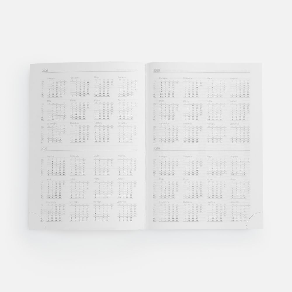 Ежедневник Favor Metal, недатированный, оранжевый