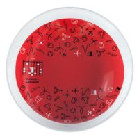 Тарелка наградная «Бизнес-зодиак. Дева»