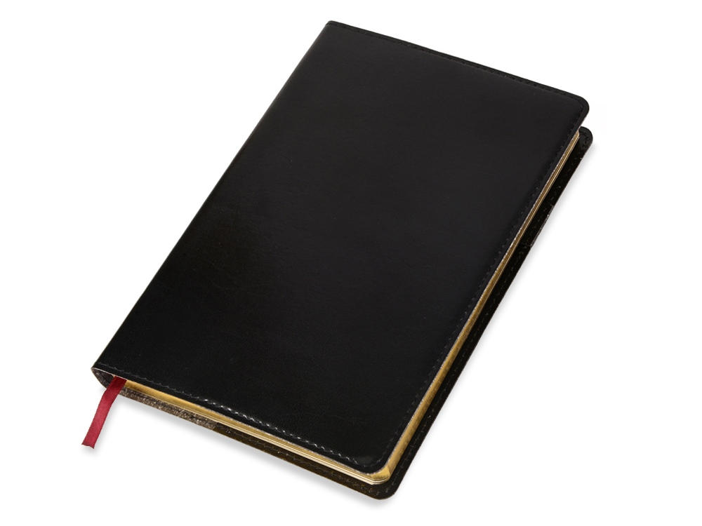 Ежедневник полудатированный портфолио А5 Profy